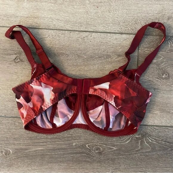 Fantasie Floral Lace Bra - Burgundy and Pink - Picture 3 of 5